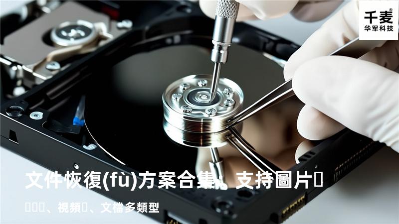 文件恢復(fù)方案合集：支持圖片、視頻、文檔多類型 